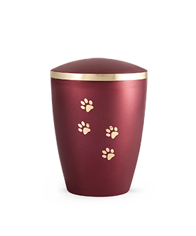 https://www.dankundtreu.de/wp-content/uploads/2025/07/13_508-2800-524.png