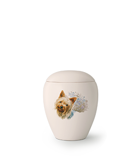 https://www.dankundtreu.de/wp-content/uploads/2025/07/17_65-500-22.png